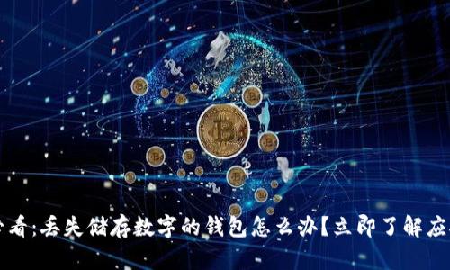 2025必看：丢失储存数字的钱包怎么办？立即了解应对技巧！