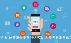 2025必看：如何安全备份BitP钱包，立即保护您的数