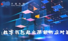 2025必看：数字钱包超出限额的应对策略与技巧