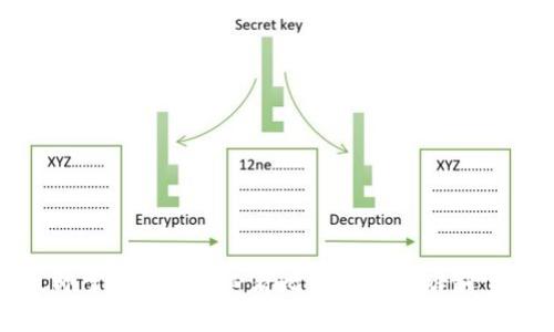 立即掌握：2025必看比特派真假辨别宝典