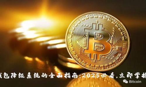 数字钱包降级系统的全面指南：2025必看，立即掌握技巧！