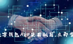2025必看：温州数字钱包APP使用秘籍，立即掌握高