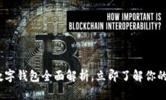 2025必看：数字钱包全面解析，立即了解你的支付