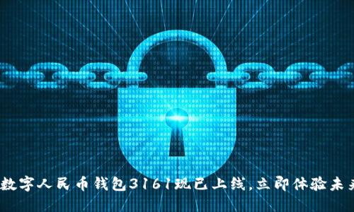 2025必看：数字人民币钱包3161现已上线，立即体验未来支付方式！