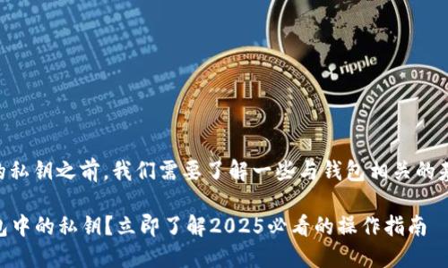 在讨论如何删除BK钱包中的私钥之前，我们需要了解一些与钱包相关的基础知识以及私钥的重要性。

### 如何安全删除BK钱包中的私钥？立即了解2025必看的操作指南