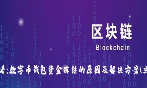 2025必看：数字币钱包资金冻结的原因及解决方案！立即了解！