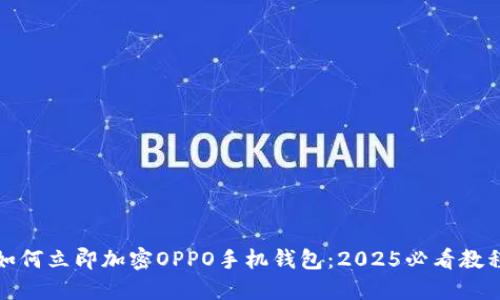 如何立即加密OPPO手机钱包：2025必看教程