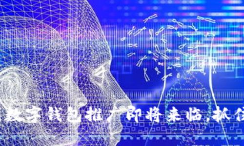 2025必看：全国数字钱包推广即将来临，抓住机遇立即行动！