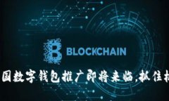 2025必看：全国数字钱包推广即将来临，抓住机遇