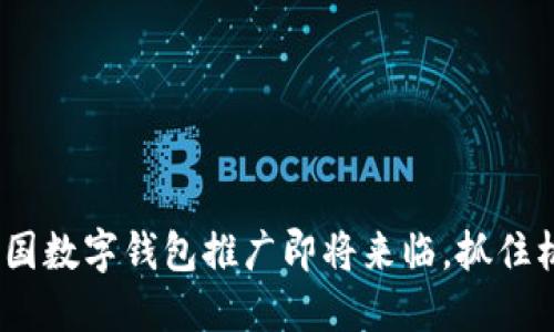 2025必看：全国数字钱包推广即将来临，抓住机遇立即行动！