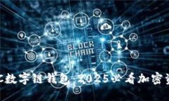 立即了解LCC数字链钱包：2025必看加密资产管理工