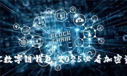 立即了解LCC数字链钱包：2025必看加密资产管理工具