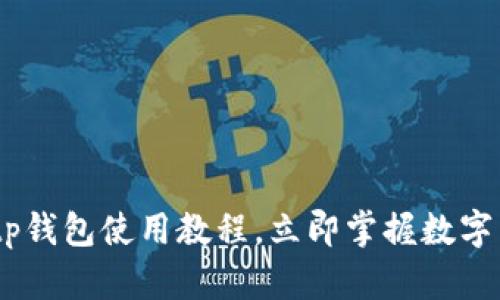 2025必看：Bitp钱包使用教程，立即掌握数字货币管理技巧！