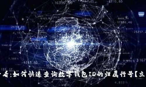 2025必看：如何快速查询数字钱包ID的归属行号？立即了解！