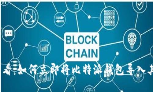 2025必看：如何立即将比特派钱包导入其他钱包