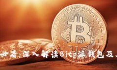 2025必看：深入解读Bitp派钱包及其功能