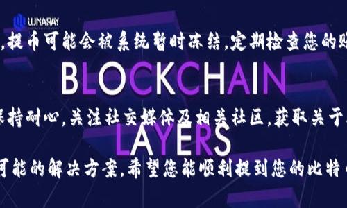 在使用比特派（Bitpie）提币时，如果遇到“提币一直没到账”的情况，可能会让人感到非常焦虑和无助。以下我将为您梳理一些可能的原因及解决办法，希望能帮助您顺利解决问题。

一、确认交易状态
首先，建议您登录比特派钱包，查看您最近一次提币的交易记录。确认交易状态是否为“已完成”，如果显示为“待确认”或“未完成”，这可能是主要原因之一。

二、查看区块链状态
补充的步骤是，通过区块链浏览器查看您提币的交易哈希，确认交易是否在链上被确认。每一笔比特币的转账都需要经过矿工的确认，确认数越高，意味着交易越安全。

三、交易网络拥堵
有时候，因为比特币网络的拥堵，您的提币可能会出现延迟。尤其是在市场波动较大的时候，很多用户同时提币，导致交易确认时间延长。
如果您发现在某些时间段提币非常慢，可以考虑在高峰时段外进行提币，类似于“避开高峰期”的策略。

四、手续费设置
此外，提币时所设置的手续费对于交易确认速度也有直接影响。如果您设定的手续费过低，即使您的提币请求被提交，也有可能因为未支付足够的矿工费用而等待很长时间未被确认。
在提币时，建议您选择一个合理的手续费，以保证交易能够顺利、及时地被处理。

五、联系比特派客服
如果经过以上步骤仍未解决问题，建议您及时联系比特派的客服。通常，优秀的客服团队会对用户的问题进行迅速响应，为您提供更专业的解决方案。
在与客服沟通时，请准备好相关信息，例如交易哈希、账号信息等，以便客服能更快地为您处理问题。

六、检查安全设置
此外，不要忽略安全设置的问题。如果您的钱包或账号存在安全风险，提币可能会被系统暂时冻结。定期检查您的账号安全设置，确保您的资产安全。

七、保持耐心与关注
最后，提币不到账可能会让人焦虑，但有时这只是暂时的网络问题。保持耐心，关注社交媒体及相关社区，获取关于比特币网络状况的最新消息。

通过以上的步骤，您应该能够更清楚地理解您的提币未到账原因及可能的解决方案。希望您能顺利提到您的比特币！