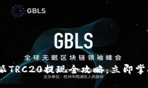 2025必看：比特派TRC20提现全攻略，立即掌握轻松操作方法！