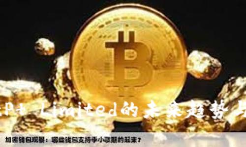 2025必看：BitP  Limited的未来趋势与投资机会分析
