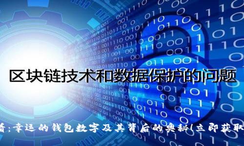 2025必看：幸运的钱包数字及其背后的奥秘！立即获取运势指导