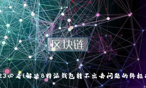 2023必看！解决B特派钱包转不出去问题的终极指南