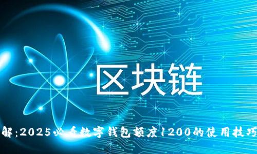 立即了解：2025必看数字钱包额度1200的使用技巧与优势