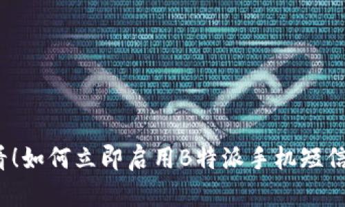 2025必看！如何立即启用B特派手机短信验证功能