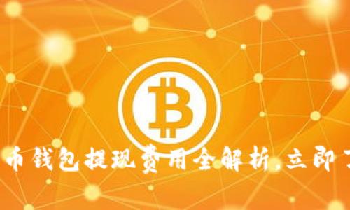 2025必看：数字货币钱包提现费用全解析，立即了解影响你的收益！