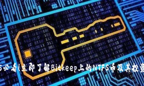 2025必看！立即了解Bitkeep上的NTFS币及其投资潜力