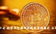 2025必看：数字钱包存钱失败的原因解析，立即了