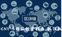 2025必看：SCNY B特派投资指南，抓住机遇立即行动