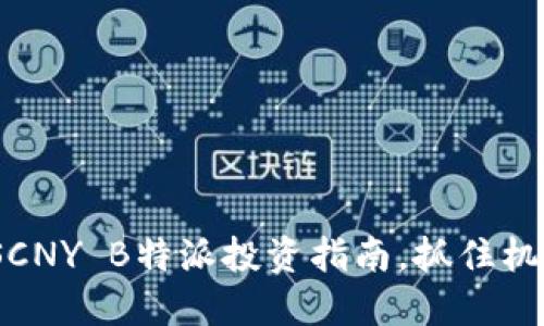 2025必看：SCNY B特派投资指南，抓住机遇立即行动！