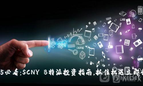 2025必看：SCNY B特派投资指南，抓住机遇立即行动！