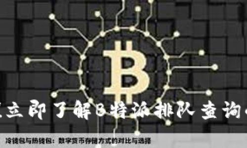 2025必看！立即了解B特派排队查询的所有秘密