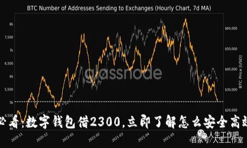 2025必看：数字钱包借2300，立即了解怎么安全高效借款！