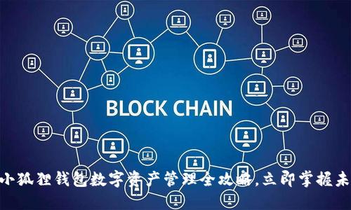 2025必看：小狐狸钱包数字资产管理全攻略，立即掌握未来投资趋势