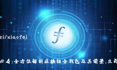 xiaofei/xiaofei2025必看：全方位解析区块链全钱包及