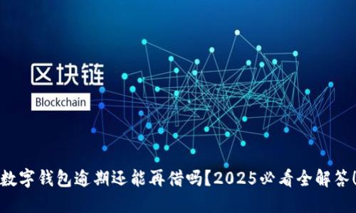 数字钱包逾期还能再借吗？2025必看全解答！