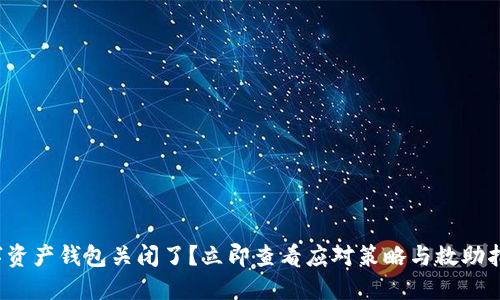 数字资产钱包关闭了？立即查看应对策略与救助指南！