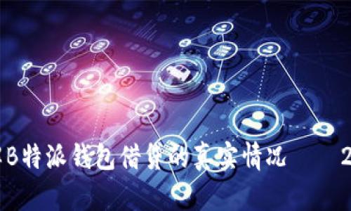 立即了解B特派钱包借贷的真实情况——2025必看
