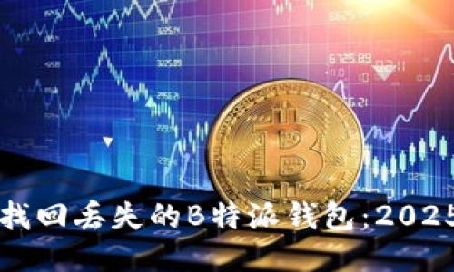 如何立即找回丢失的B特派钱包：2025必看指南