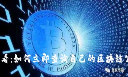 2025必看：如何立即查询自己的区块链公链钱包