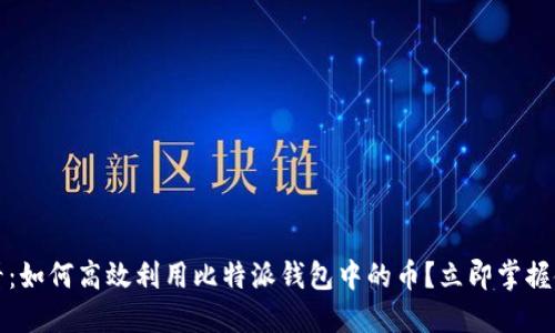 2025必看：如何高效利用比特派钱包中的币？立即掌握使用技巧！