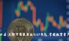 2025必看：立即下载最新版BitP钱包，掌握数字资产