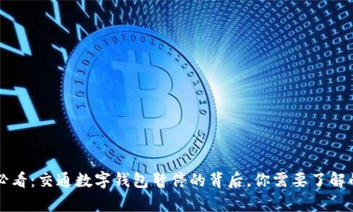 2025必看：交通数字钱包暂停的背后，你需要了解的真相!