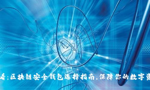 2025必看：区块链安全钱包选择指南，保障你的数字资产安全！
