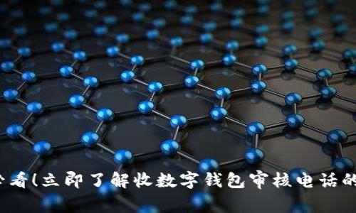 2025必看！立即了解收数字钱包审核电话的全流程