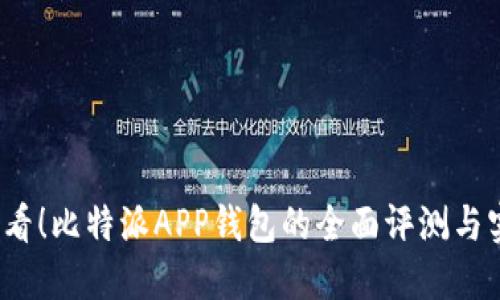 2025必看！比特派APP钱包的全面评测与实用指南