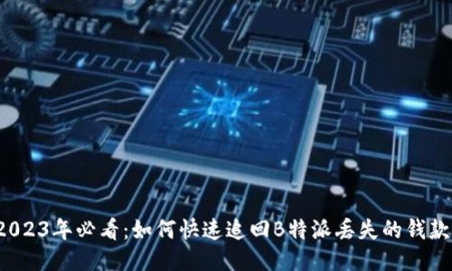 2023年必看：如何快速追回B特派丢失的钱款？