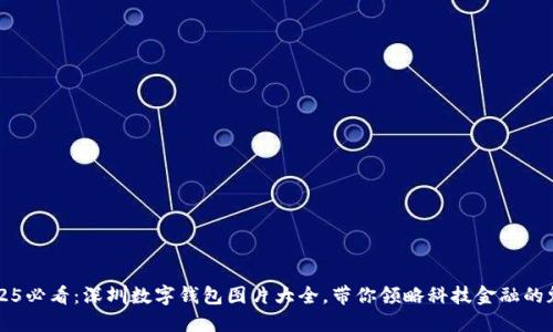 2025必看：深圳数字钱包图片大全，带你领略科技金融的魅力